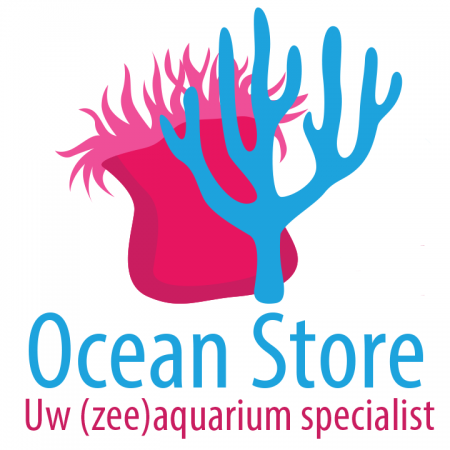 Ocean Store logo